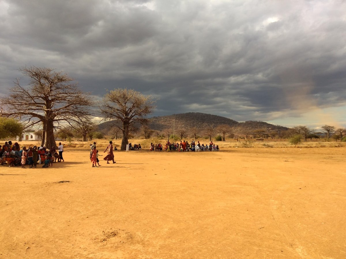 Baobab trees and people gathered in open landscape, Dodoma Region, Tanzania