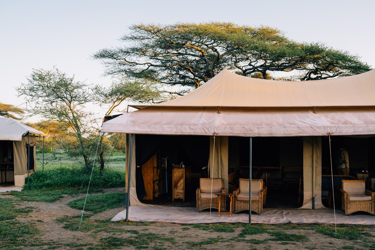 Luxury safari tents under acacia trees at golden hour near Arusha, Tanzania