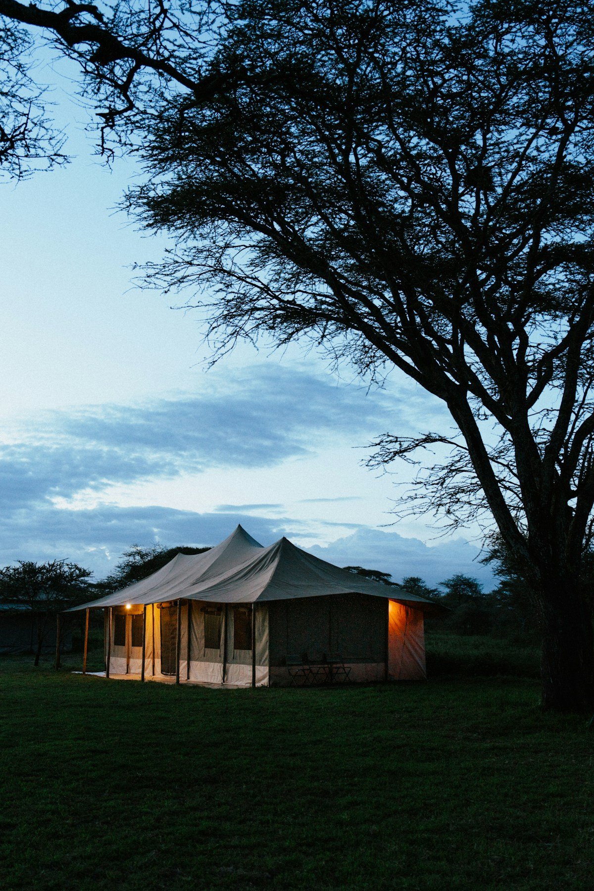 Safari tent lodge glowing at dusk under acacia trees in the Kilimanjaro region, Tanzania