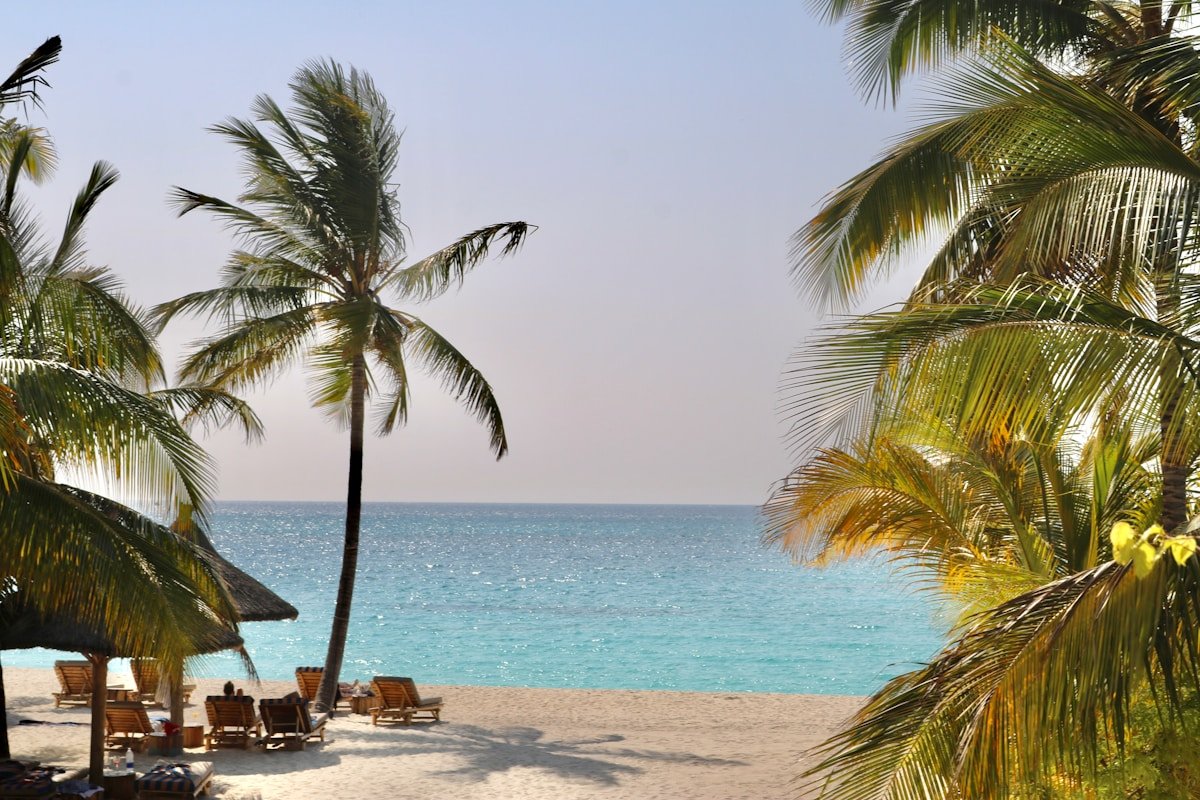 Tropical beach with palm trees and turquoise water, Zanzibar, Tanzania