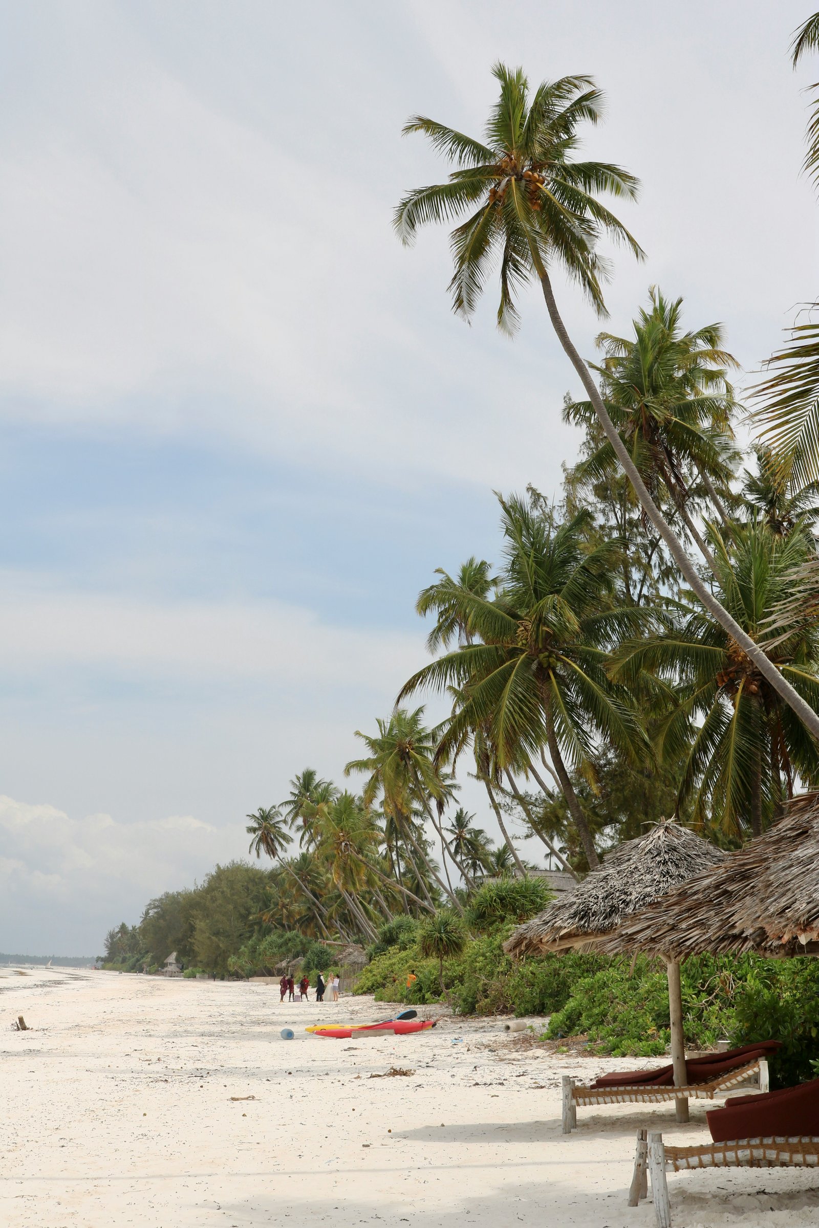 White sand beach with palm trees and thatched sunbeds in Zanzibar, Tanzania