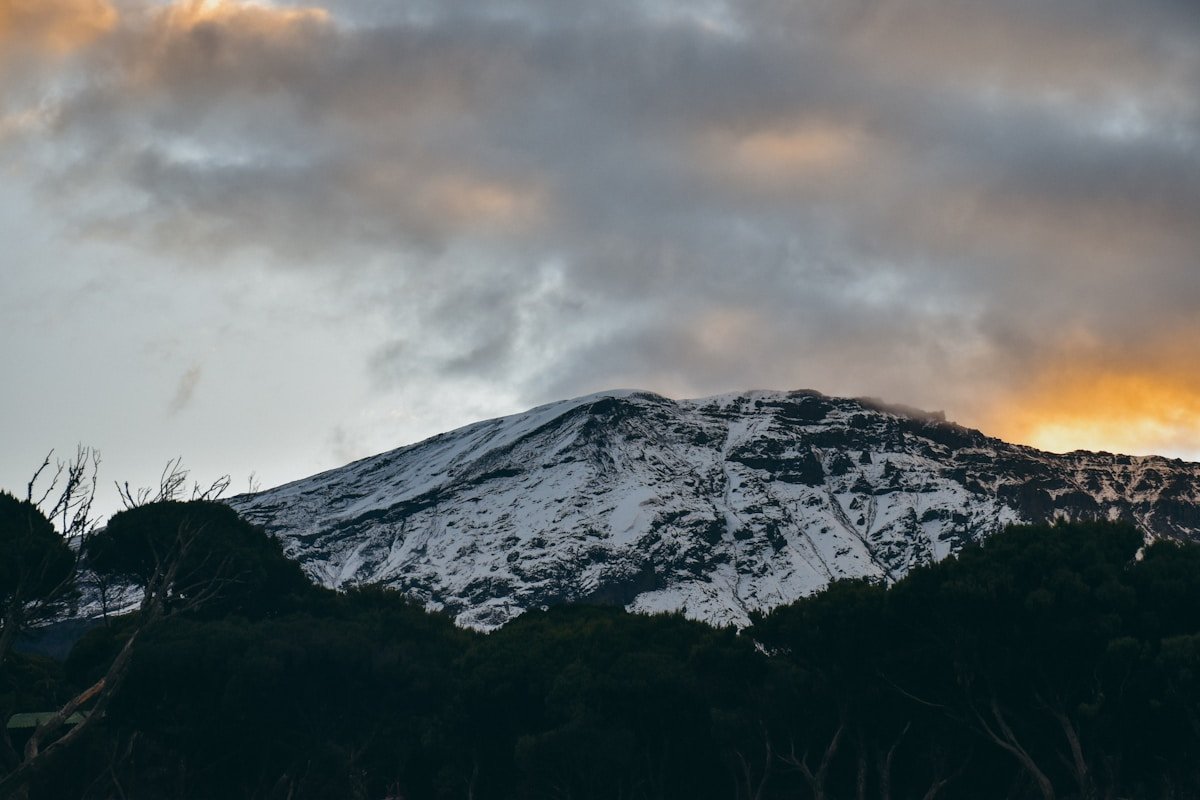 Snow-covered Kilimanjaro summit silhouetted at sunset with orange and purple clouds above the treeline, Tanzania