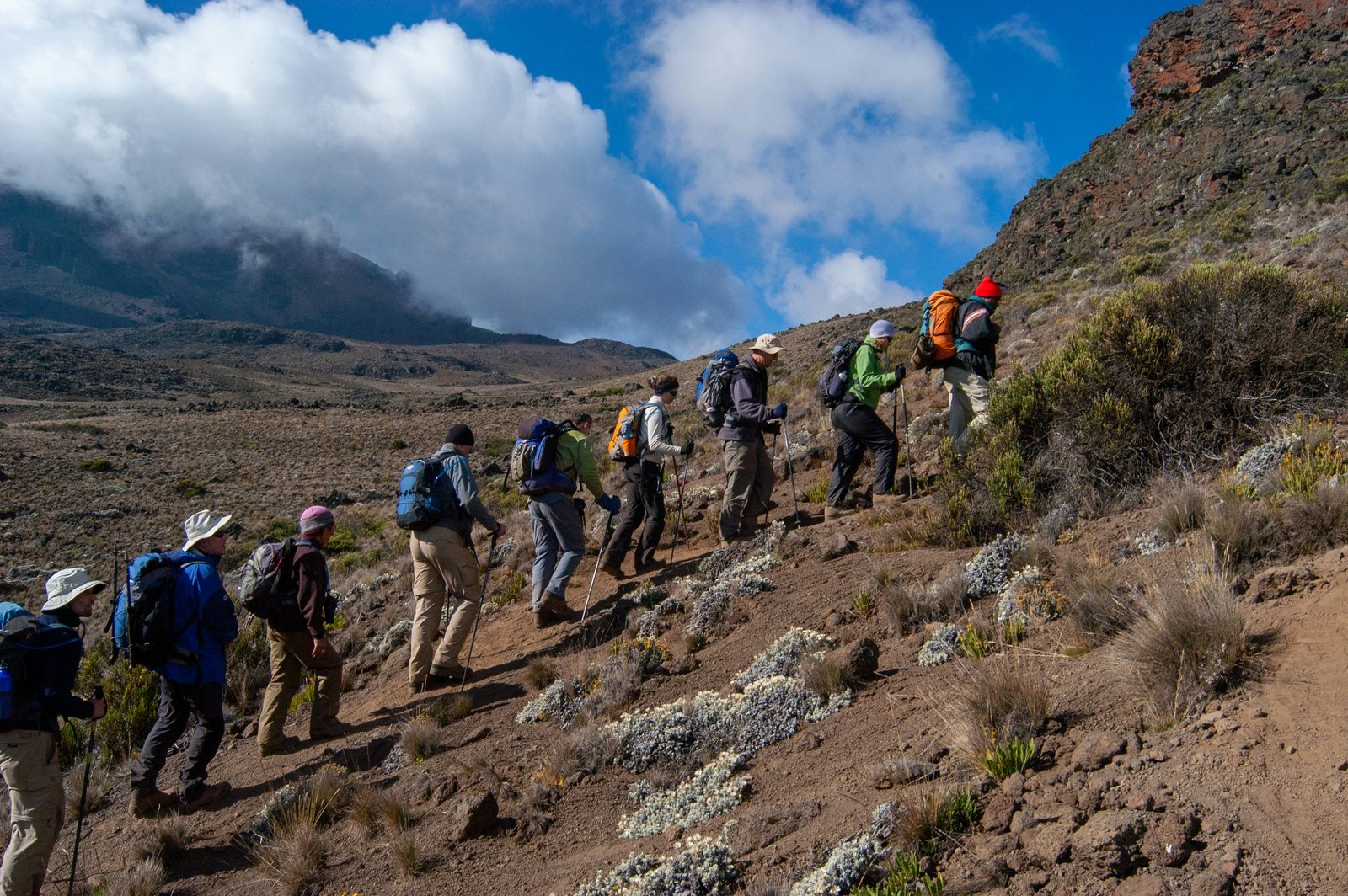 Group of trekkers hiking in a line up the dusty alpine slopes of Kilimanjaro, Tanzania