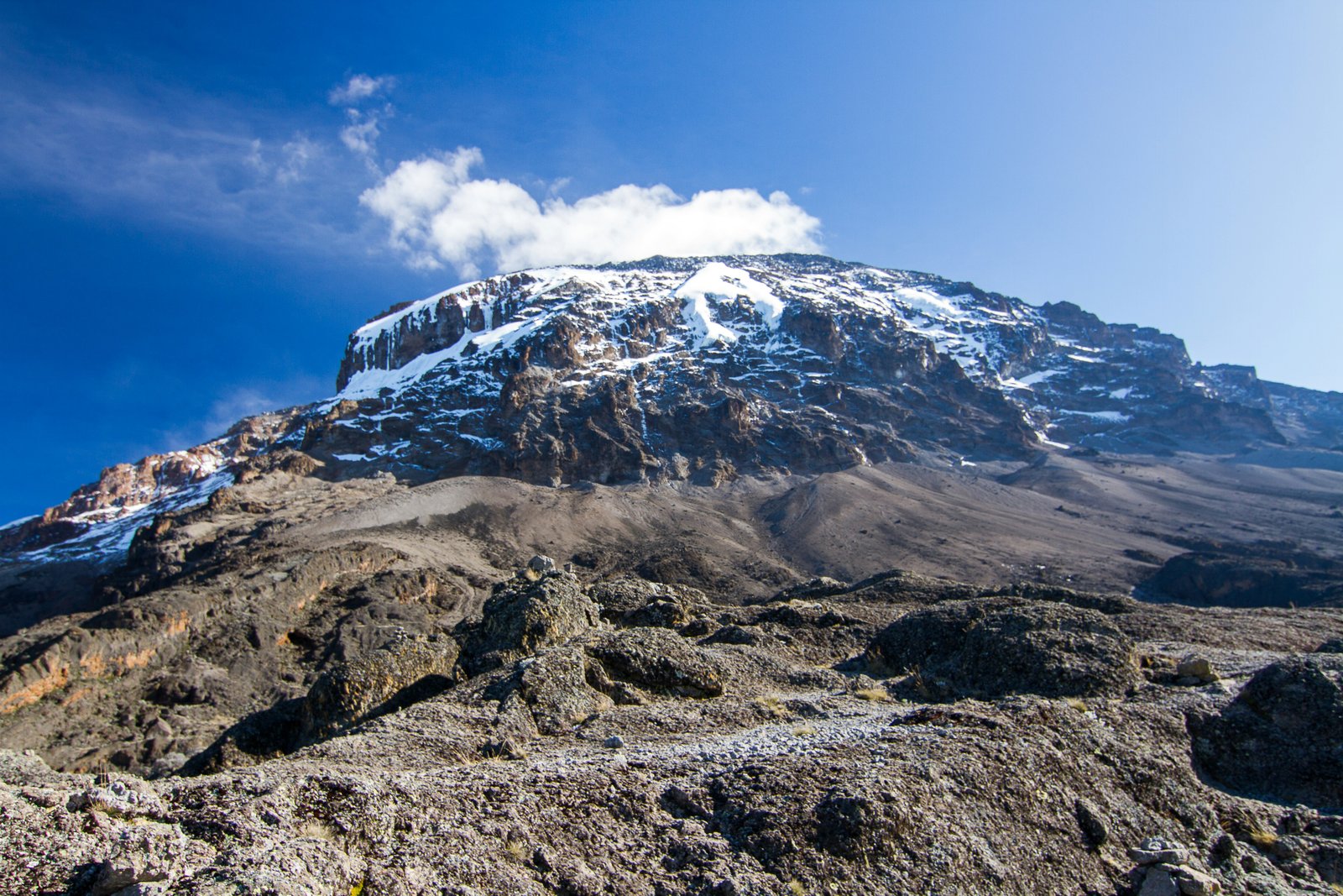 Snow-capped summit of Kilimanjaro viewed from the rocky alpine desert zone below