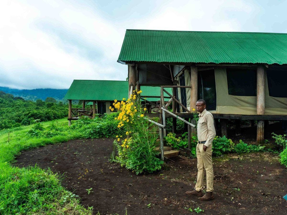 Safari-Guide vor einer erhöhten Zelt-Lodge umgeben von üppigem Grün in der Region Arusha, Tansania