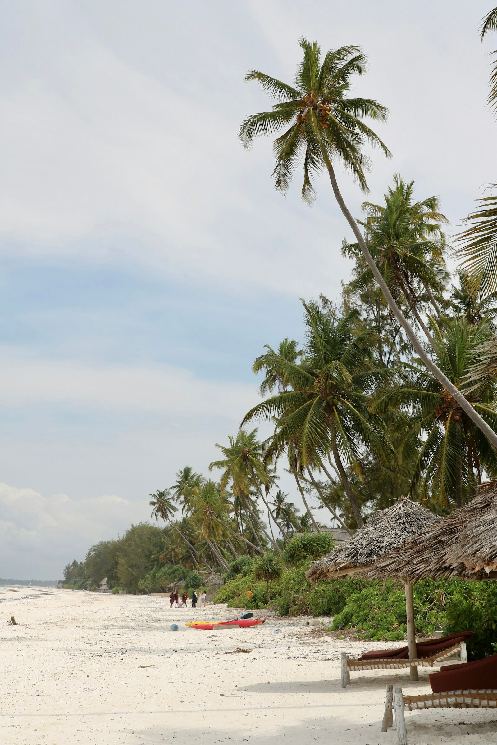 Palm-lined white sand beach with a thatched umbrella on the Indian Ocean coast, Tanzania