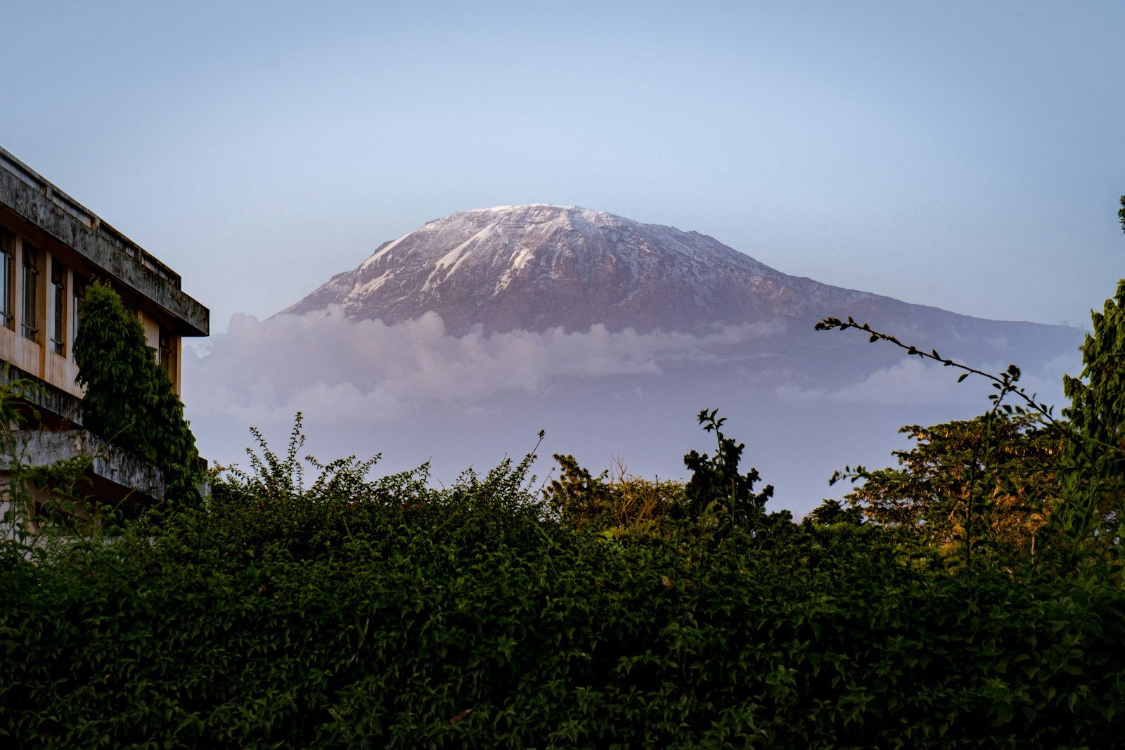 Kilimanjaro's snow-capped summit rising above the clouds, seen from Moshi