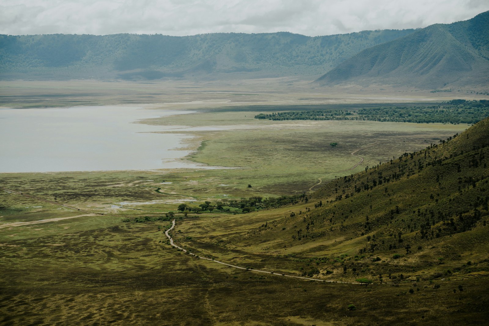 Aerial view of Ngorongoro Crater floor with lake, grassland and steep caldera walls, Tanzania