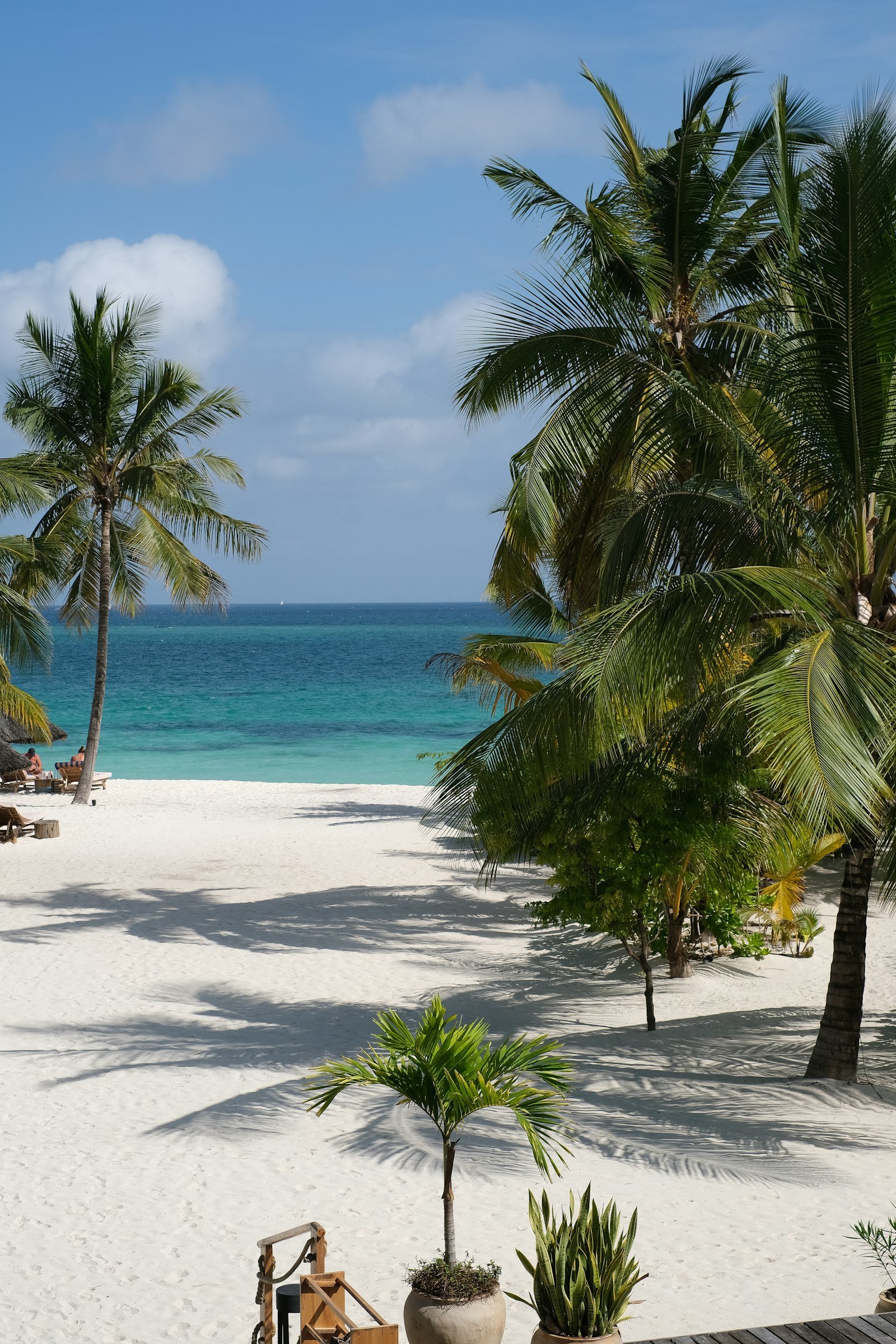White sand beach with palm trees and turquoise Indian Ocean water, East Africa