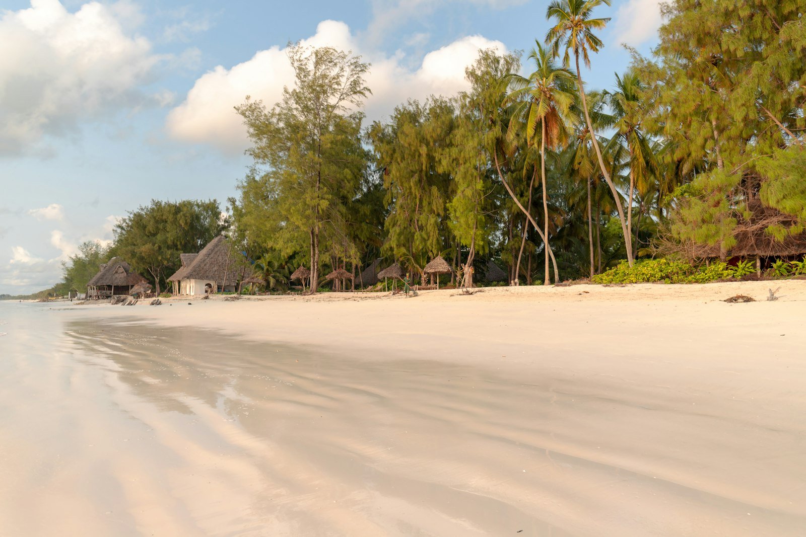 Thatched beach bungalows among palm trees on a white sand beach in Tanzania