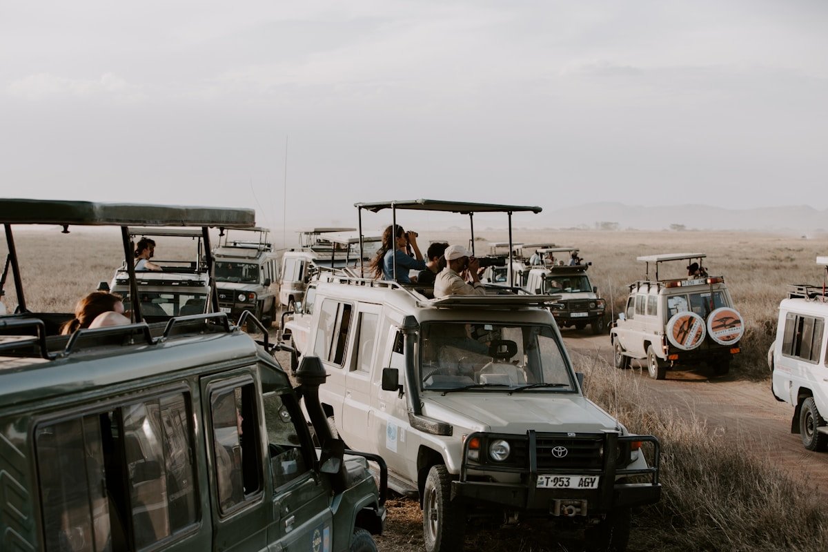 Multiple Toyota Landcruiser safari vehicles on a dusty track in the Serengeti, Tanzania