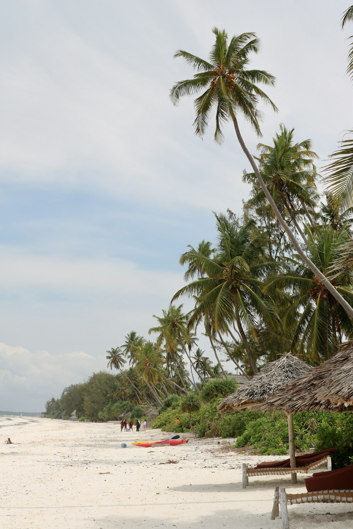 White sand Zanzibar beach with palm trees and thatched beach shelter in February