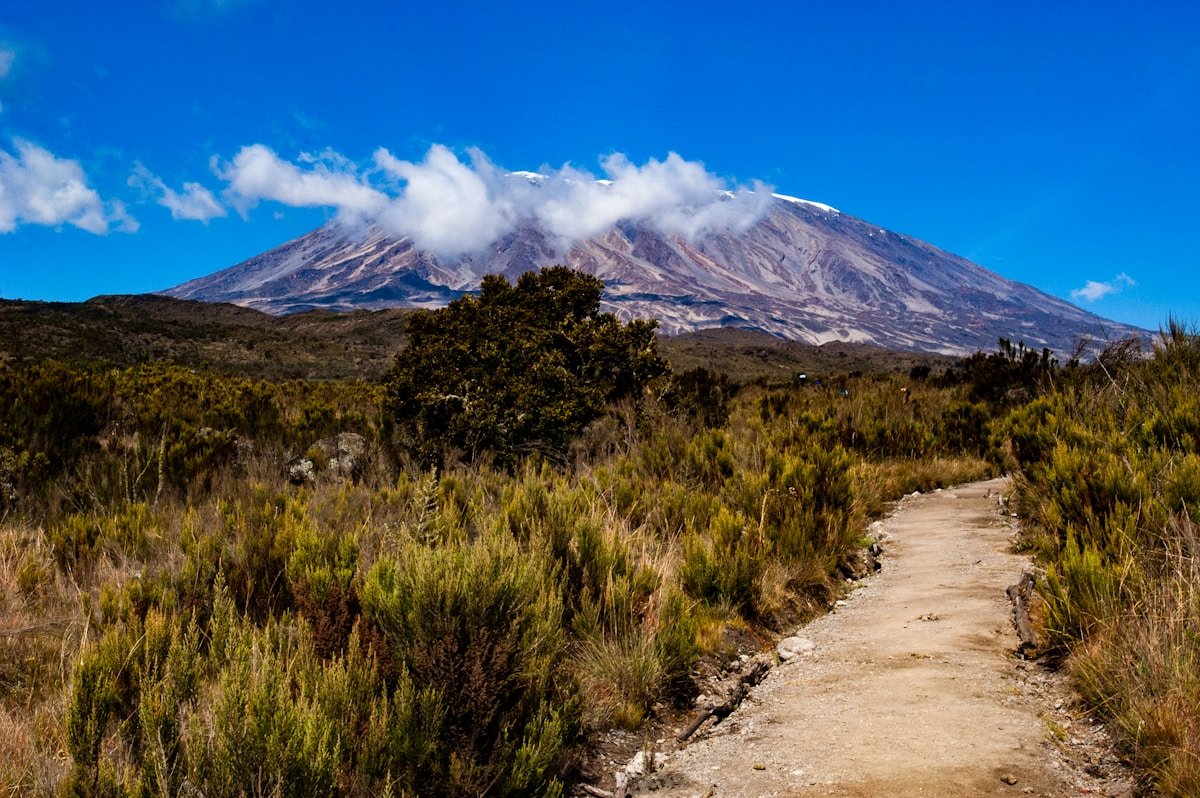 Trail path leading toward Kilimanjaro volcano through dry highland scrub, Tanzania