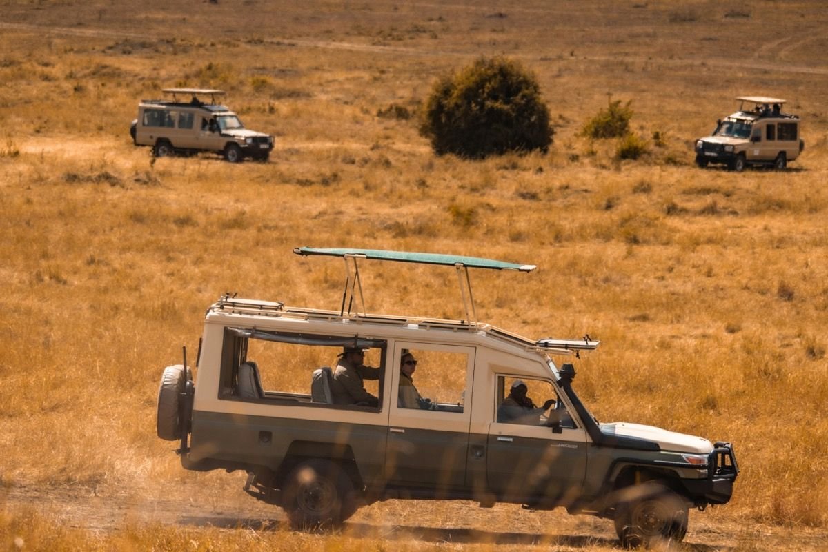 Safari-Fahrzeug auf den offenen Serengeti-Ebenen bei goldenem Abendlicht, Tansania