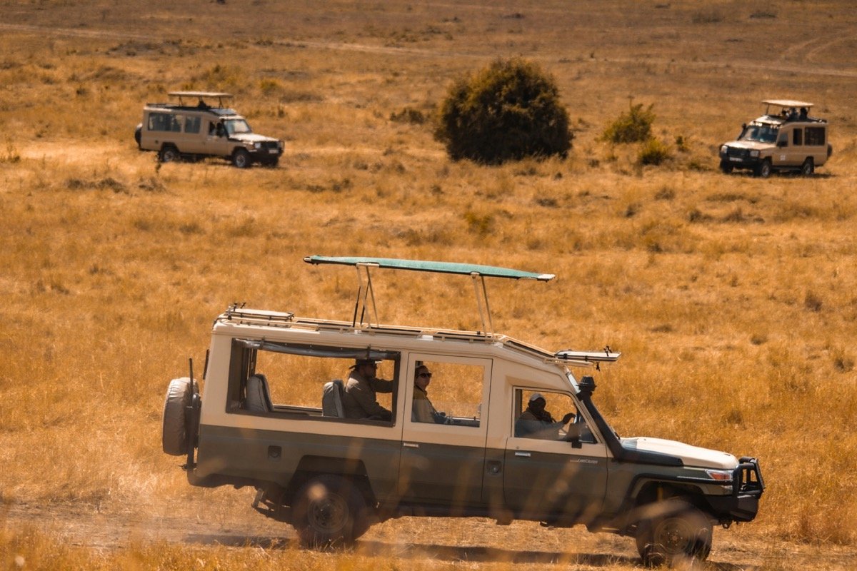Safari vehicles driving through dry Serengeti grasslands, Tanzania