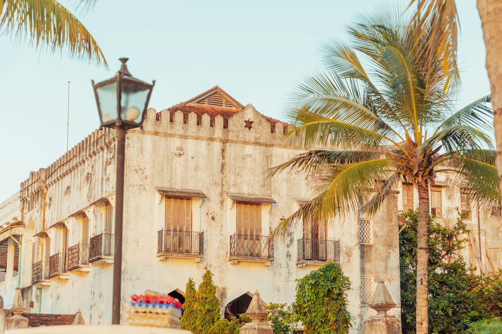 Historic Stone Town building with carved balconies and palm trees, Zanzibar