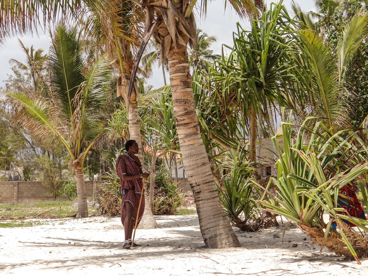 White sand beach with turquoise water and palm trees on the coast of Zanzibar