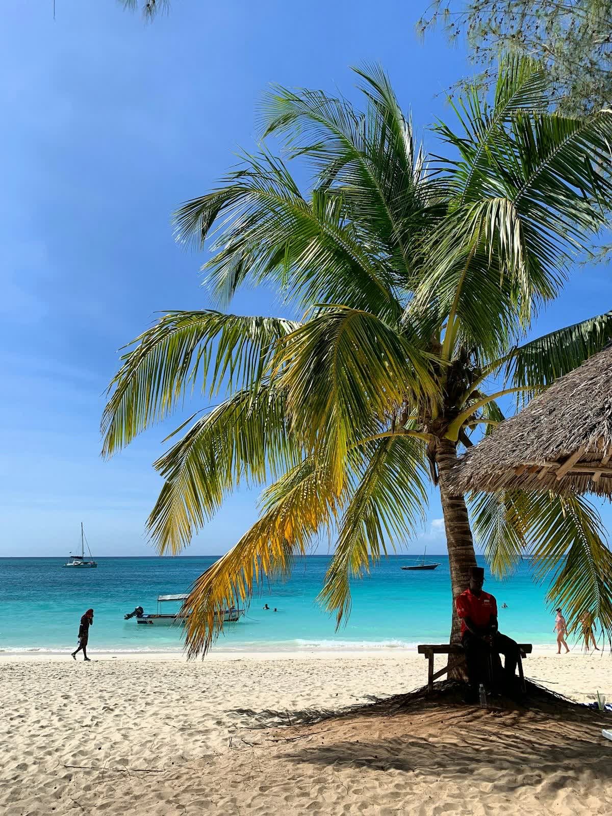 Zanzibar beach with palm tree, turquoise ocean, and a traditional wooden dhow sailboat