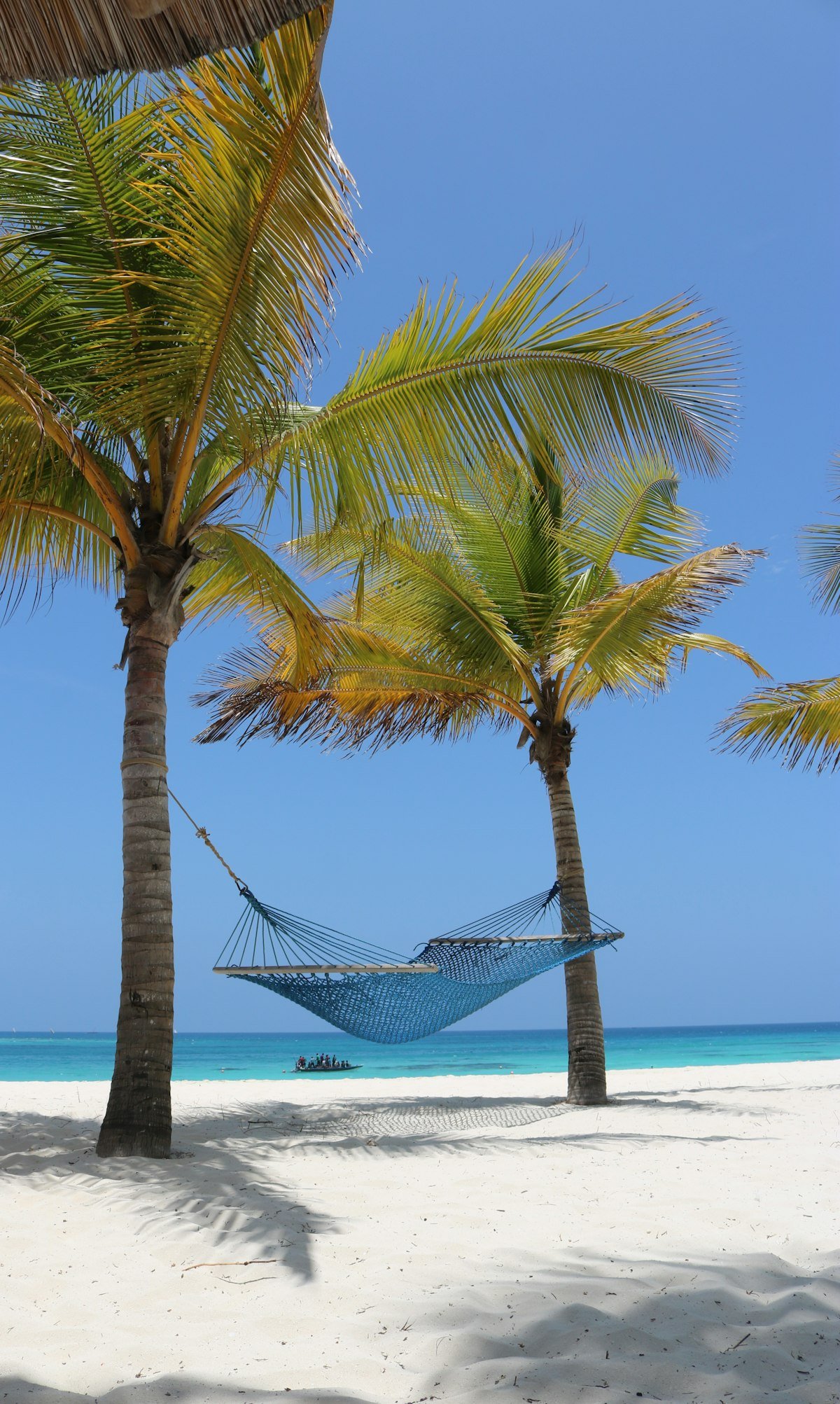 Hammock between palm trees on a white sand beach in Zanzibar with turquoise ocean