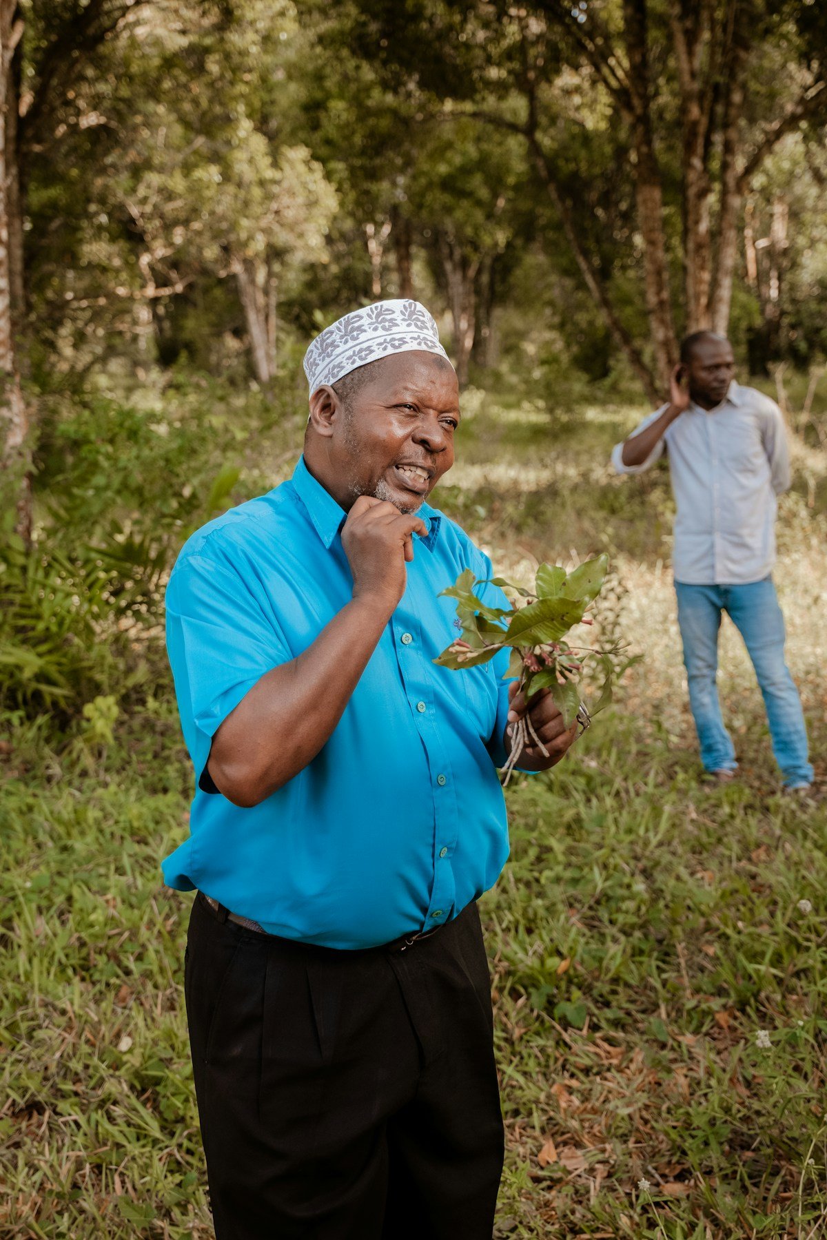 Man holding tropical plant leaves on a spice farm, Zanzibar Island, Tanzania
