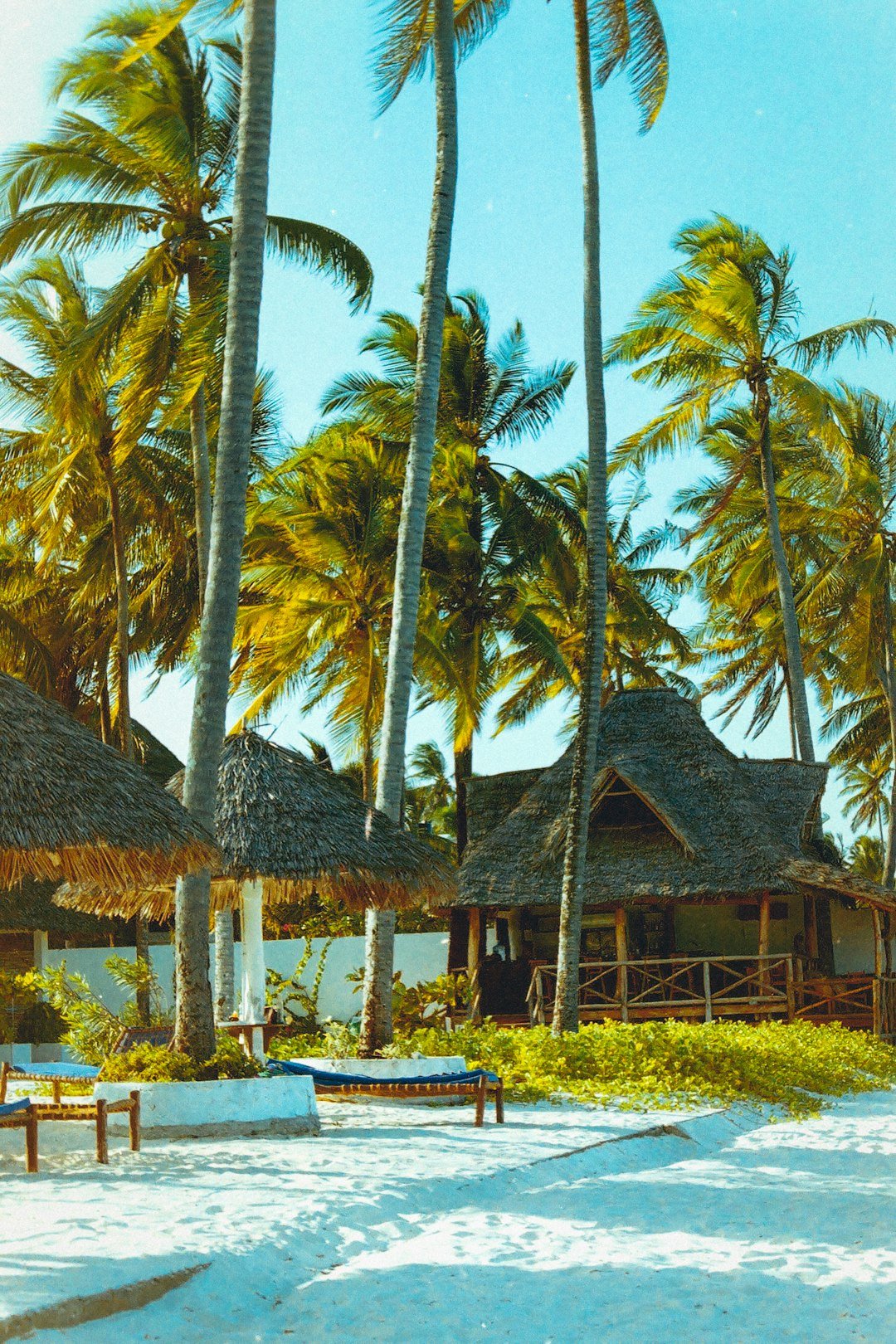 Turquoise sea and thatched beach cottages on Zanzibar's coastline, Tanzania